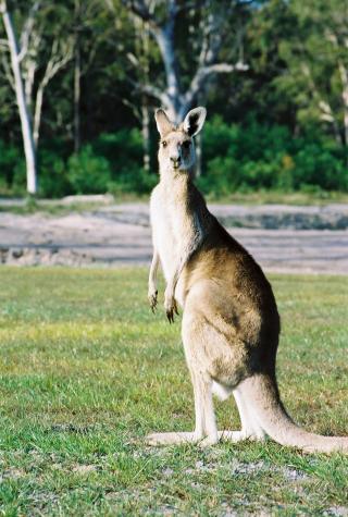 September '03 in Australia - Bribie Island, Australia