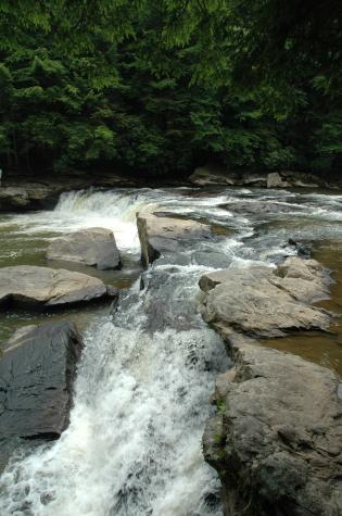 Swallow Falls State Park, MD