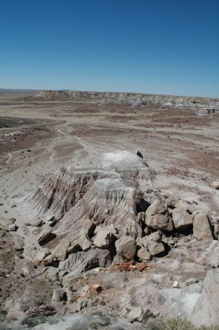 petrified forest, nm