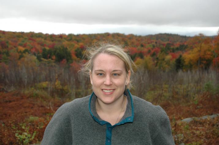 heather with fall color - Berkshires, MA
