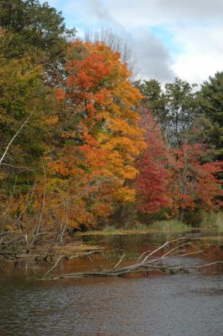 fall color over water - Berkshires, MA