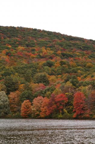 hills with fall colors - Berkshires, MA