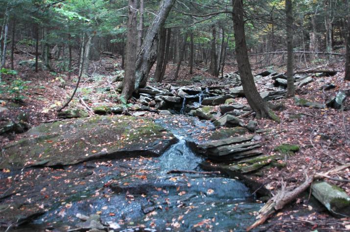 creek seen on hike - Berkshires, MA